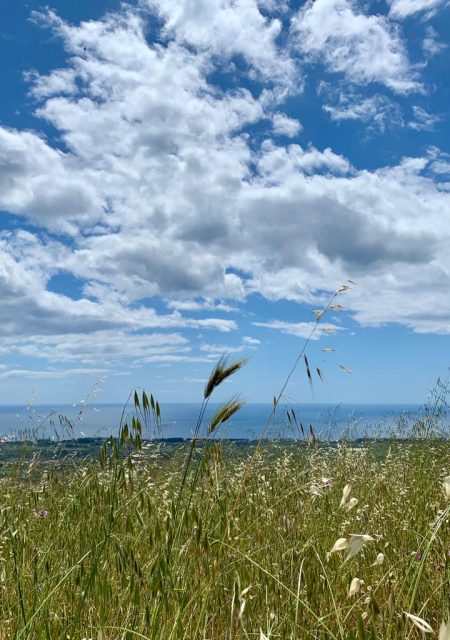 Risersvasale è situato sulle colline che si innalzano alle spalle del Golfo di Naxos