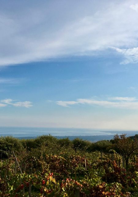 Risersvasale è situato sulle colline che si innalzano alle spalle del Golfo di Naxos